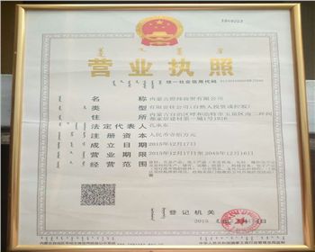 內(nèi)蒙古煜煒新材料技術(shù)有限公司營(yíng)業(yè)執(zhí)照