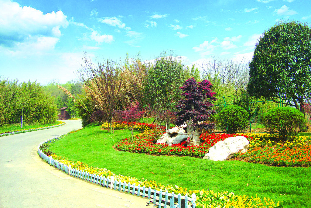 園林景觀 園林景觀